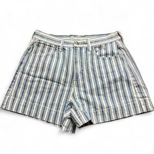 American Eagle Blue & White Striped High Rise Shorts Womens Size 6